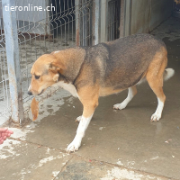 Sunny- stiller Sonnenschein auf der suche nach  dir