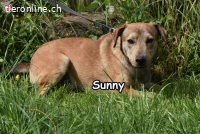 SUNNY