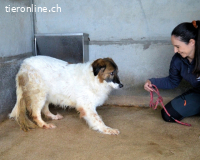 Tachelle - Was bleibt, wenn man verlernt zu überleben?