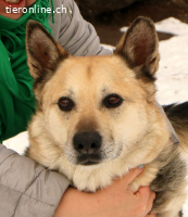 Tano - ein Goldschatz!