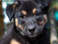 Tedda , die Kleine nannte man eigentlich Teodora