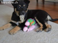 Tedda , die Kleine nannte man eigentlich Teodora