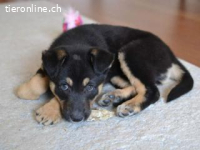 Tedda , die Kleine nannte man eigentlich Teodora