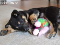 Tedda , die Kleine nannte man eigentlich Teodora