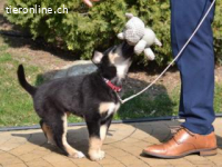 Tedda , die Kleine nannte man eigentlich Teodora