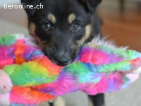 Tedda , die Kleine nannte man eigentlich Teodora