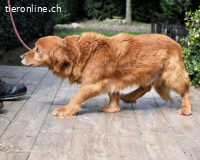 Telyr - "Test, Test, Test"