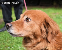 Telyr - "Test, Test, Test"