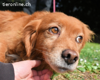 Telyr - "Test, Test, Test"