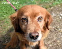 Telyr - "Test, Test, Test"