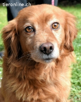 Telyr - "Test, Test, Test"