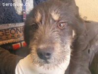 Thor - grosser Name mit sanften Wesen