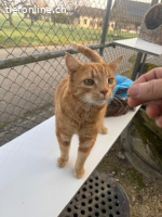 Timi sucht ein neues Zuhause