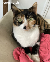 TINA - NOTFALL SIE BRAUCHT DRINGEND EIN ZU HAUSE