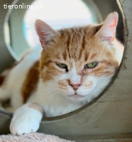 Titan hat so lange überlebt – jetzt möchte er endlich leben