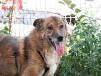 Titania - sucht passendes Körbchen zum einkuscheln