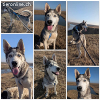 Toby ist bereit für gemeinsame Abenteuer