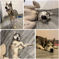 Toby ist bereit für gemeinsame Abenteuer