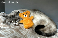 Tourmaline sucht Liebe und Fürsorge