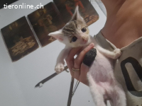 Truffel - auf PS bei Frankfurt