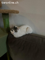 Truffel - auf PS bei Frankfurt