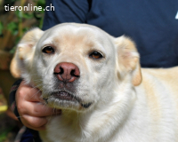 Ulbrecht - Ein kurzer Hauch von Gras...