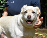 Ulbrecht - Ein kurzer Hauch von Gras....