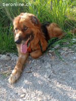 Ulisse, eine  Adoption des Herzens