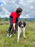 Unico – grosser Junge mit großem Herz sucht seinen Weg ?