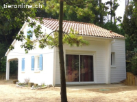 Urlaub mit Hund im Badeort Saint Jean de Monts (F-atlantik)