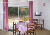 Urlaub mit Hund im Badeort Saint Jean de Monts (F-atlantik)