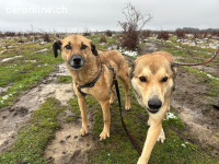 Usina - Zarte Seele auf der Suche nach Sicherheit und Liebe