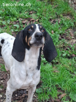 Valentin - Personaltrainer sucht Lebensstellung