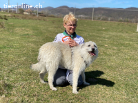 Vasco sucht ein Zuhause