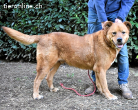 Vivaldo - ...steht vor der falschen Tür...