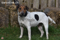 WANDA
