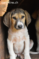 Wasker - Als Mama noch bei uns war...