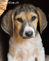 Wasker - Als Mama noch bei uns war...