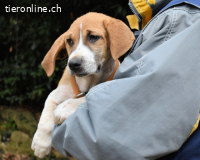 Waylo - Als Mama noch bei uns war...