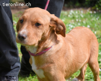 Wixelle - Als Mama noch bei uns war...