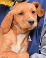 Wixelle - Als Mama noch bei uns war...