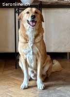 Wonderful Barry