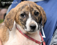 Woola - Als Mama noch bei uns war...