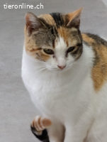 Xira und Negri - Suchen gemeinsam ihr Happy-End