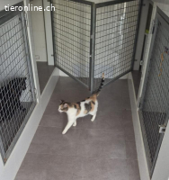 Xira - Zarte Seele auf der Suche nach Geborgenheit