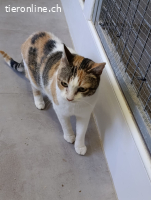 Xira - Zarte Seele auf der Suche nach Geborgenheit