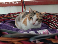 Xira - Zarte Seele auf der Suche nach Geborgenheit