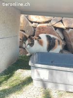 Xira - Zarte Seele auf der Suche nach Geborgenheit