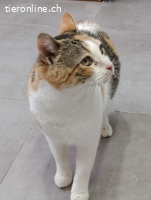 Xira - Zarte Seele auf der Suche nach Geborgenheit