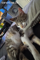 Yara sucht ihr Glück (1 Jahr)